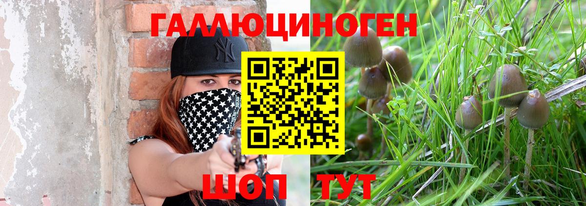 Ачинск  Галлюциногенные грибы Psilocybe  Вход с VPN  Галлюциногенные грибы Magic Shrooms 