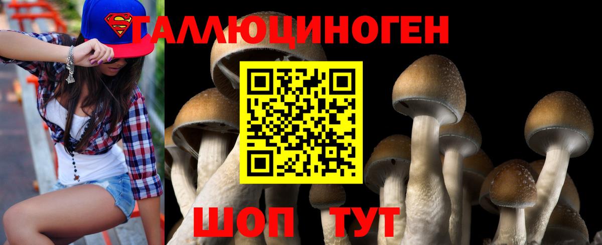 Псилоцибиновые грибы мицелий Ачинск